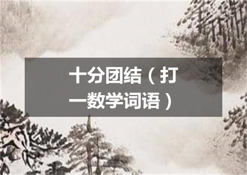十分团结（打一数学词语）