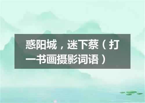 惑阳城，迷下蔡（打一书画摄影词语）