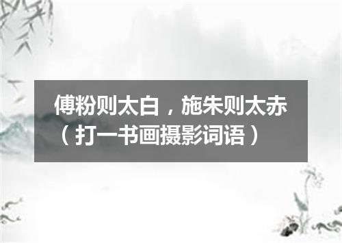 傅粉则太白，施朱则太赤（打一书画摄影词语）
