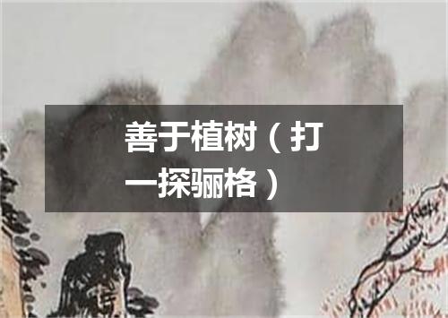 善于植树（打一探骊格）