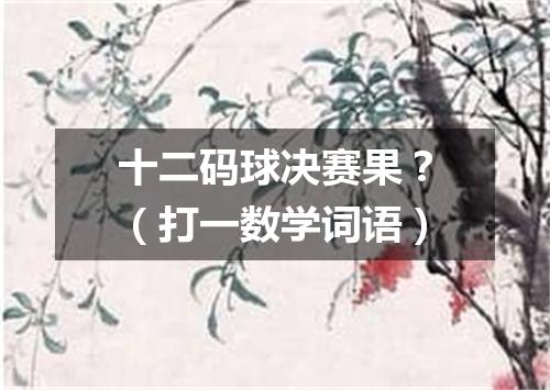 十二码球决赛果？（打一数学词语）