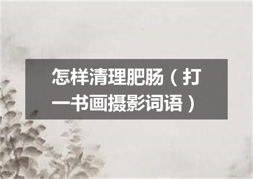 怎样清理肥肠（打一书画摄影词语）