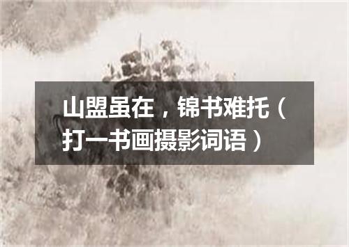 山盟虽在，锦书难托（打一书画摄影词语）