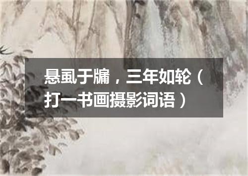 悬虱于牖，三年如轮（打一书画摄影词语）