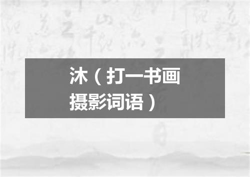 沐（打一书画摄影词语）