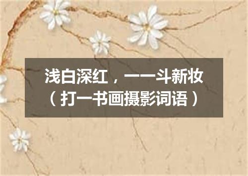 浅白深红，一一斗新妆（打一书画摄影词语）