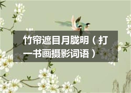 竹帘遮目月胧明（打一书画摄影词语）