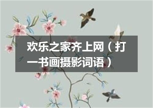 欢乐之家齐上网（打一书画摄影词语）