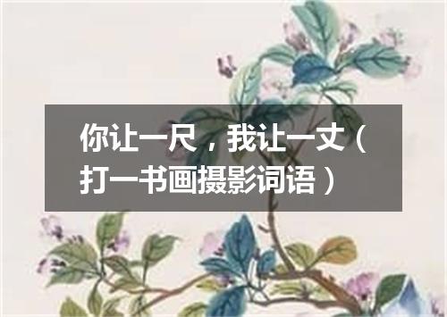 你让一尺，我让一丈（打一书画摄影词语）