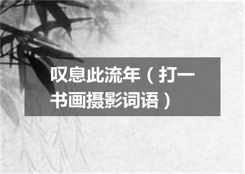 叹息此流年（打一书画摄影词语）