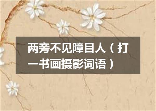 两旁不见障目人（打一书画摄影词语）
