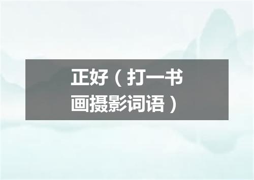 正好（打一书画摄影词语）