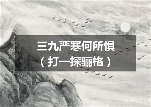 三九严寒何所惧（打一探骊格）