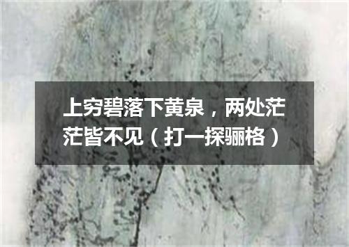 上穷碧落下黄泉，两处茫茫皆不见（打一探骊格）