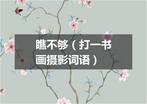 瞧不够（打一书画摄影词语）