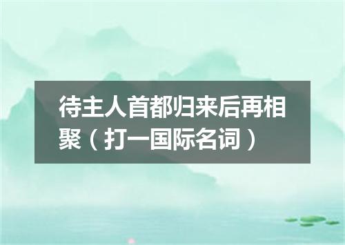 待主人首都归来后再相聚（打一国际名词）