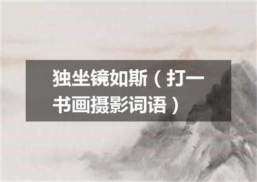 独坐镜如斯（打一书画摄影词语）