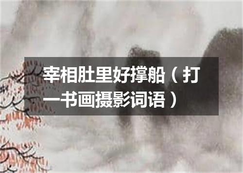 宰相肚里好撑船（打一书画摄影词语）