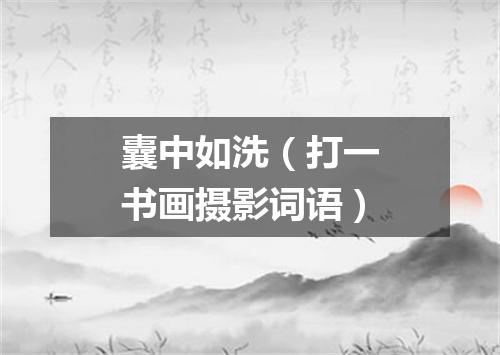 囊中如洗（打一书画摄影词语）