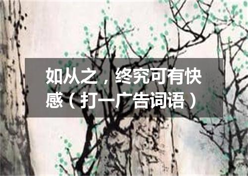 如从之，终究可有快感（打一广告词语）