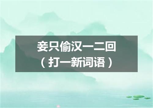 妾只偷汉一二回（打一新词语）