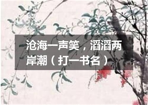 沧海一声笑，滔滔两岸潮（打一书名）
