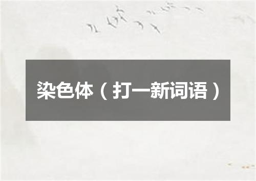 染色体（打一新词语）