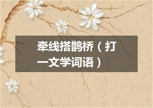 牵线搭鹊桥（打一文学词语）