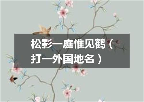 松影一庭惟见鹤（打一外国地名）