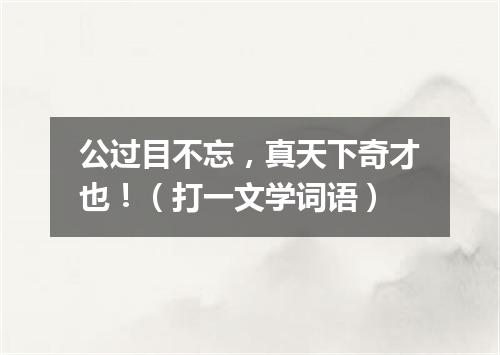 公过目不忘，真天下奇才也！（打一文学词语）
