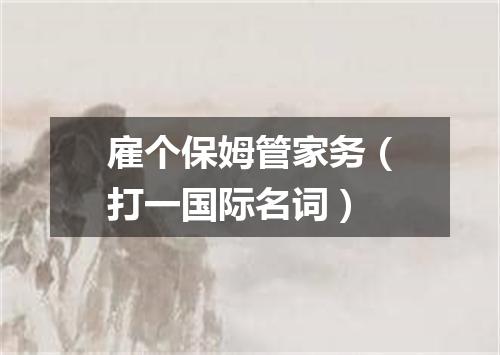 雇个保姆管家务（打一国际名词）