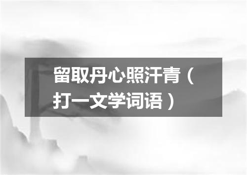 留取丹心照汗青（打一文学词语）