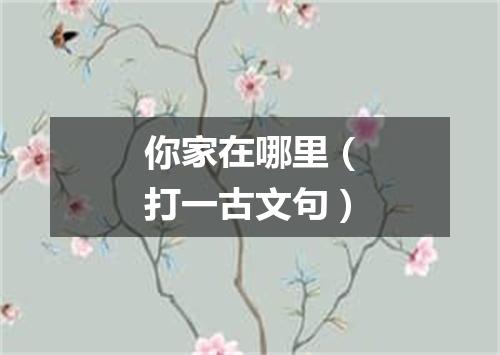 你家在哪里（打一古文句）
