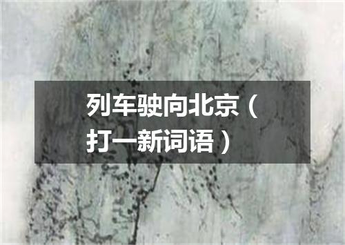 列车驶向北京（打一新词语）