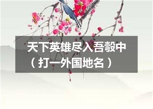 天下英雄尽入吾彀中（打一外国地名）