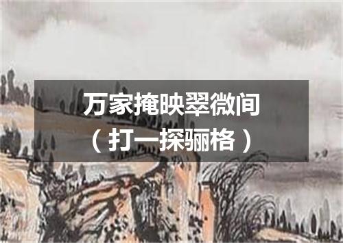 万家掩映翠微间（打一探骊格）