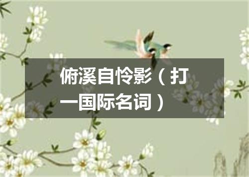 俯溪自怜影（打一国际名词）