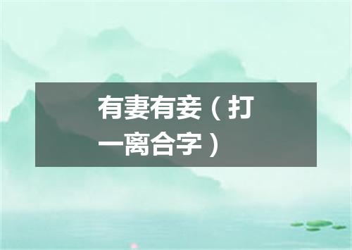 有妻有妾（打一离合字）