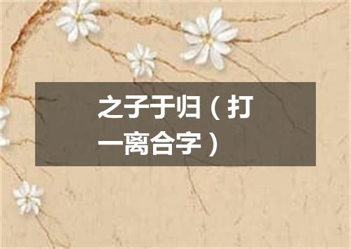之子于归（打一离合字）