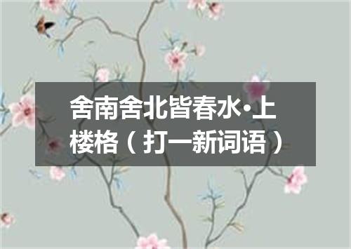 舍南舍北皆春水·上楼格（打一新词语）