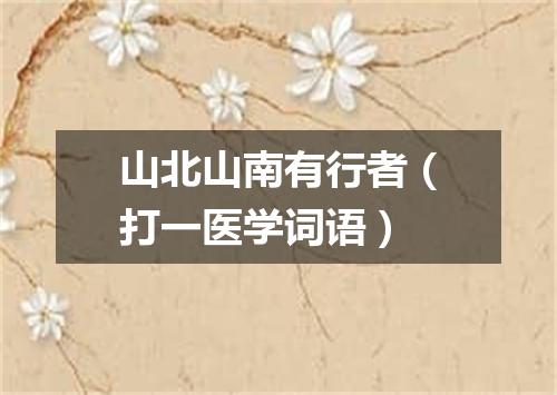 山北山南有行者（打一医学词语）