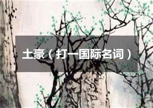 土豪（打一国际名词）