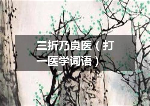 三折乃良医（打一医学词语）