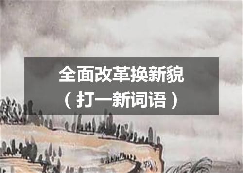 全面改革换新貌（打一新词语）