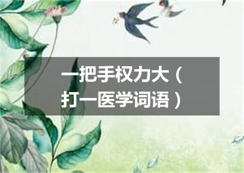 一把手权力大（打一医学词语）