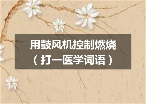用鼓风机控制燃烧（打一医学词语）