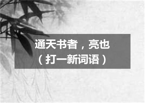通天书者，亮也（打一新词语）