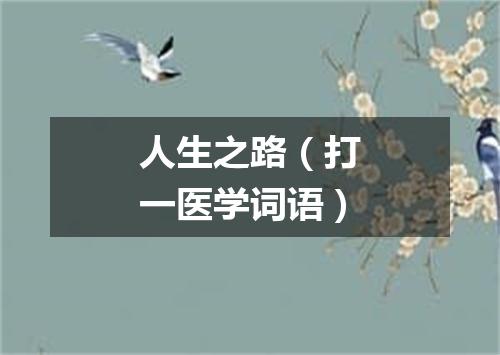 人生之路（打一医学词语）