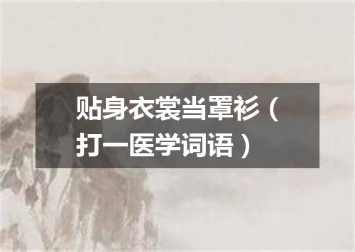 贴身衣裳当罩衫（打一医学词语）