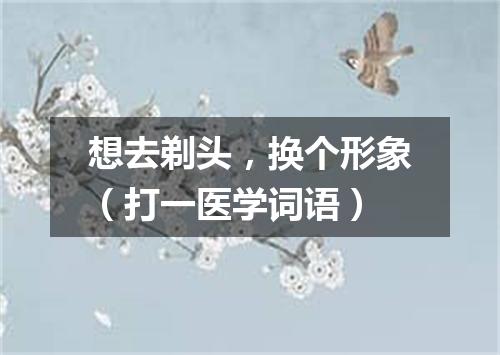 想去剃头，换个形象（打一医学词语）